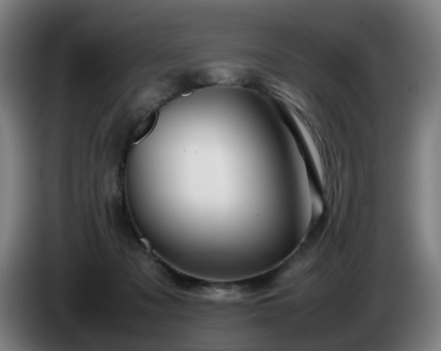 X0000086090317200703301156