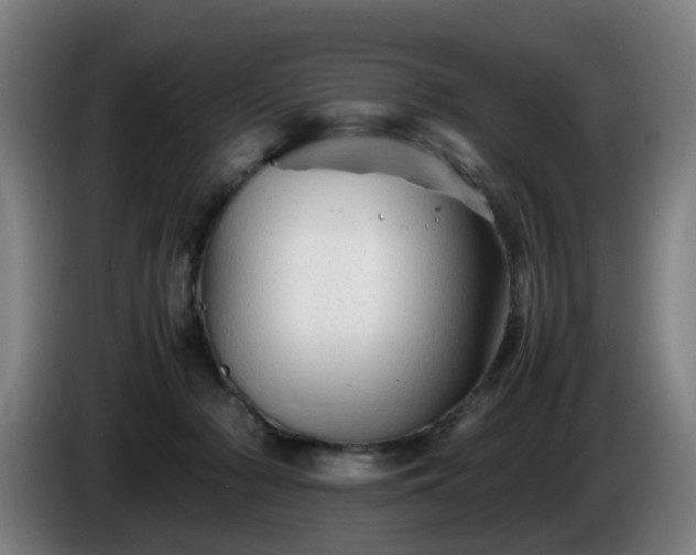 X0000086090318200703301156