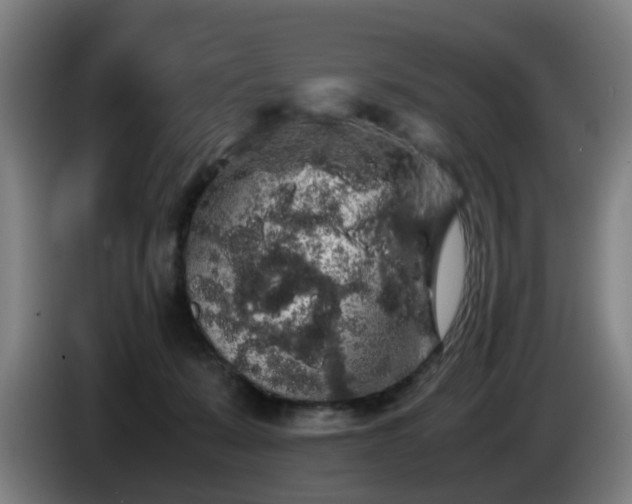 X0000086090319200703301156