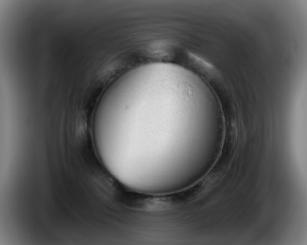 X0000086090320200703301156