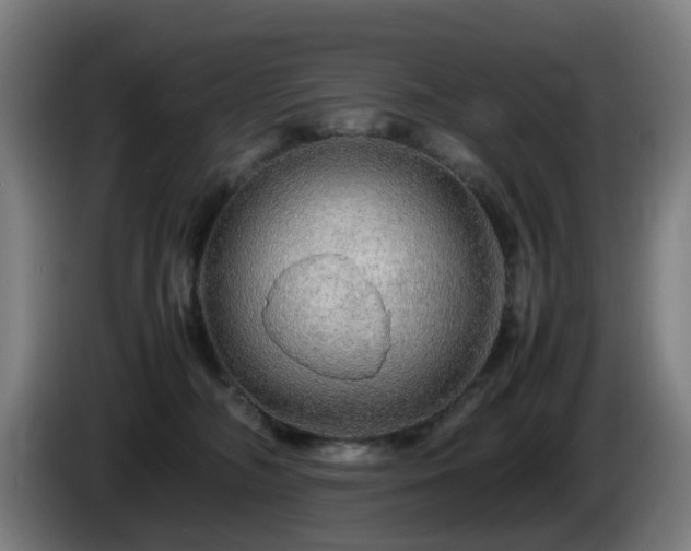 X0000086090326200703301156