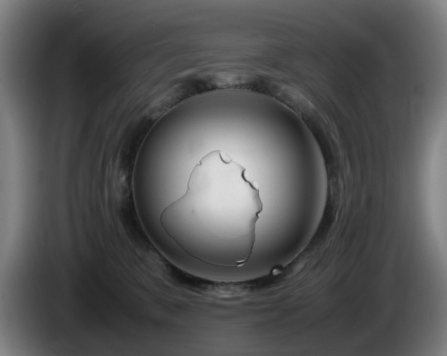 X0000086090327200703301156