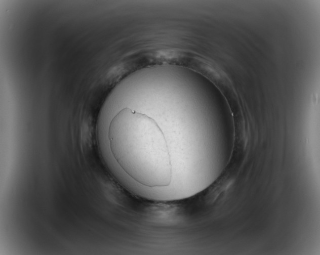 X0000086090328200703301156