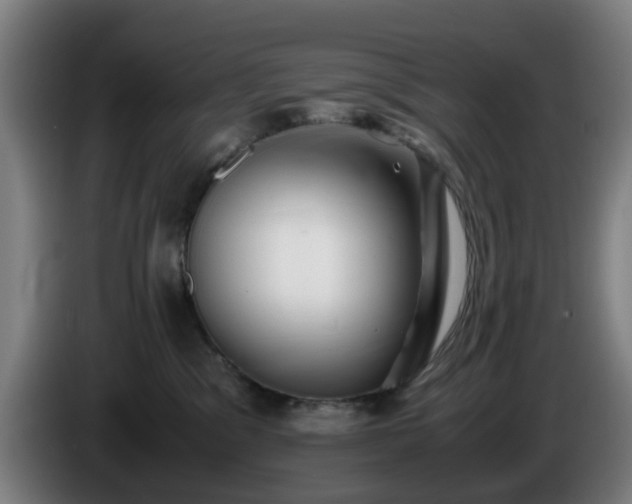 X0000086090329200703301156