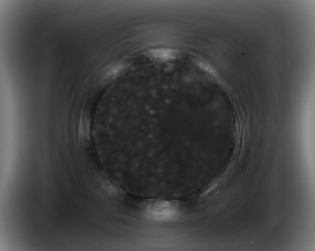 X0000086090330200703301156