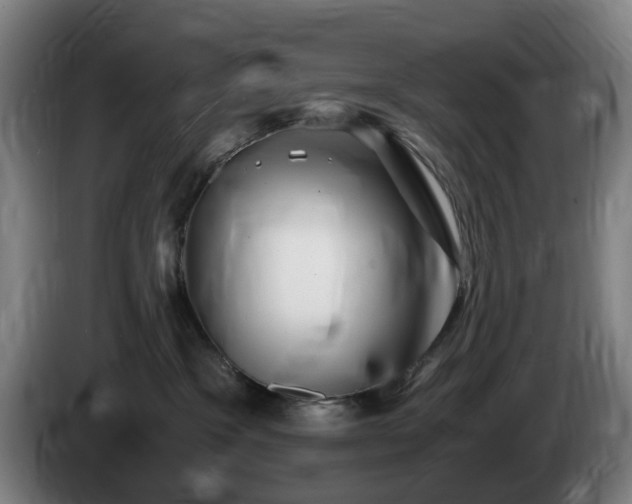 X0000086090333200703301156