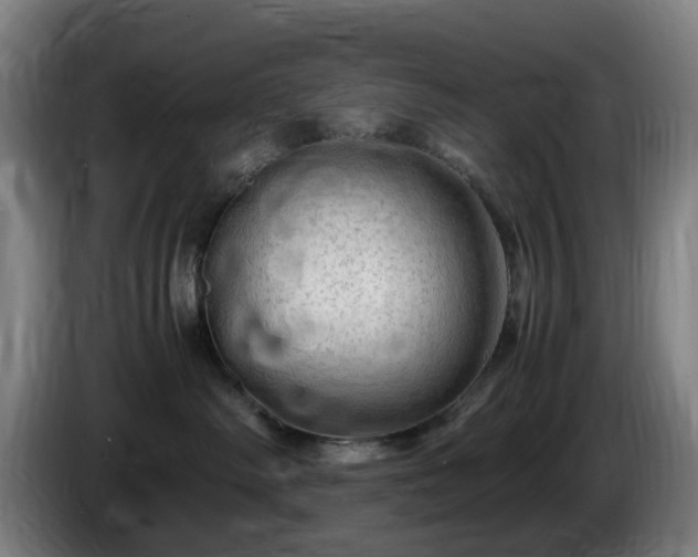 X0000086090334200703301156