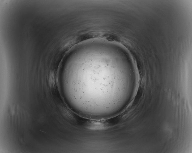 X0000086090335200703301156