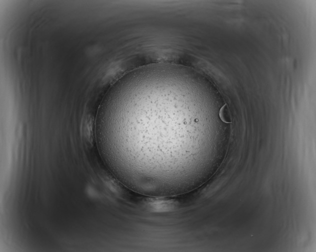 X0000086090336200703301156