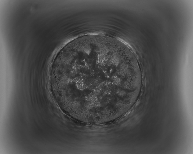 X0000086090337200703301155