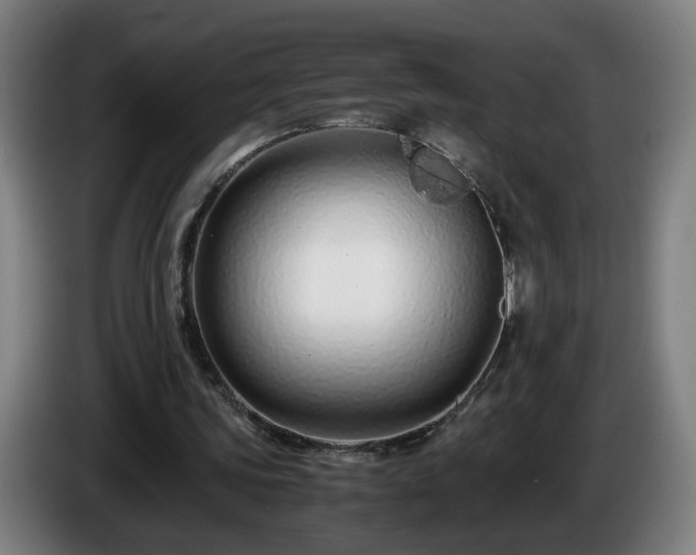 X0000086090339200703301155