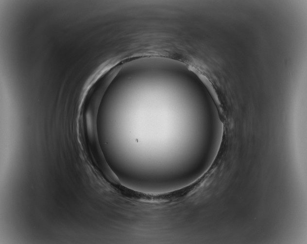 X0000086090340200703301155