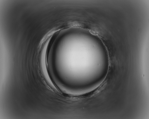 X0000086090341200703301156