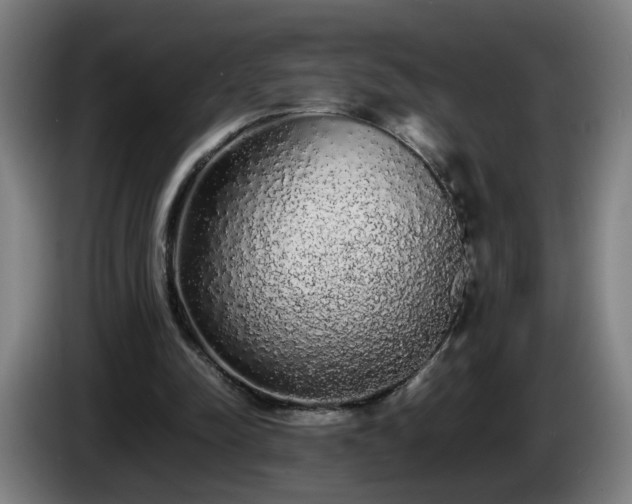 X0000086090342200703301156