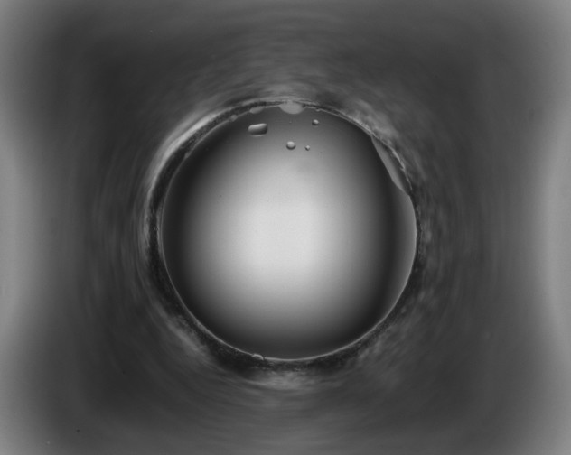 X0000086090344200703301156