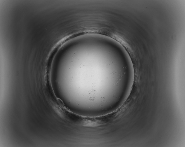 X0000086090346200703301156