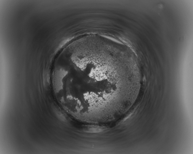 X0000086090347200703301156