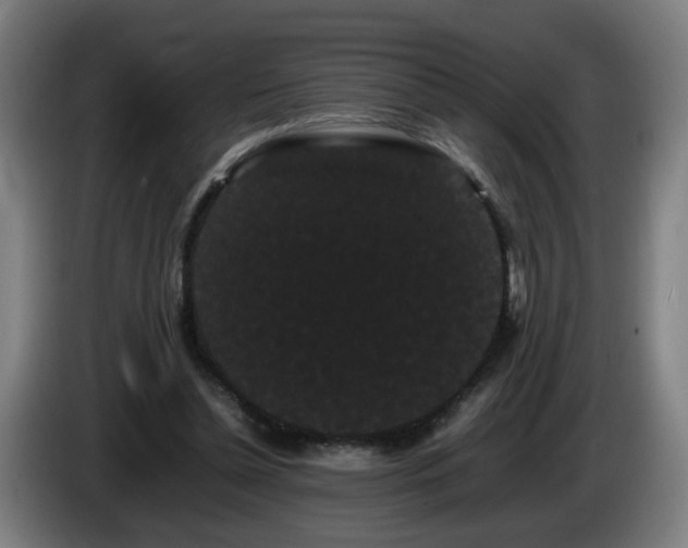 X0000086090348200703301156