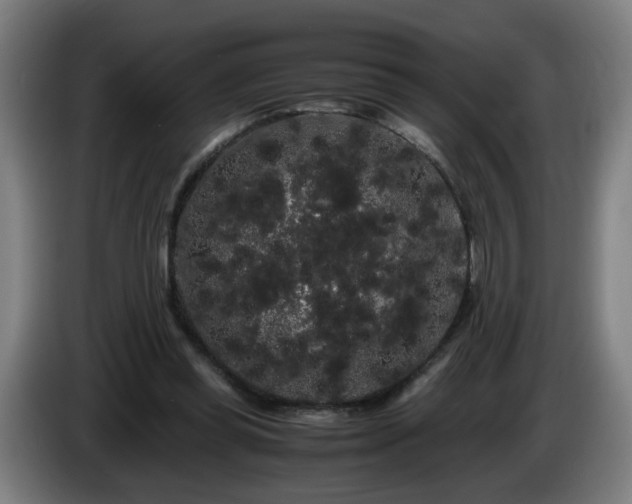 X0000086090349200703301156