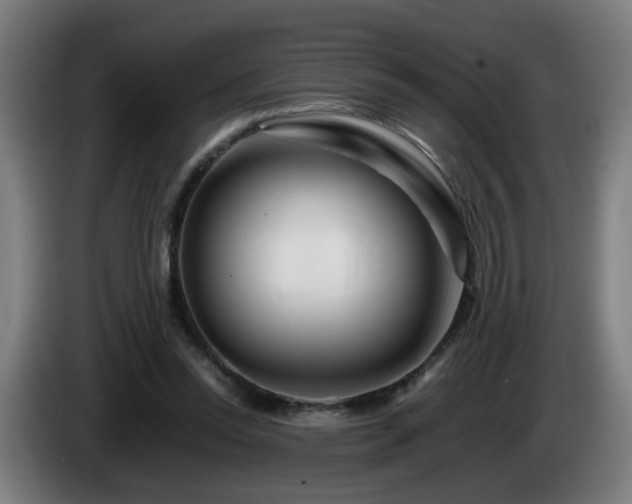 X0000086090350200703301156