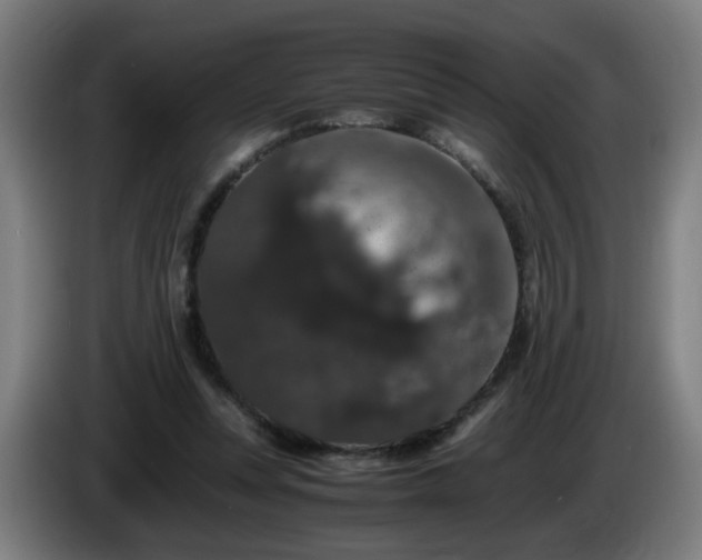 X0000086090351200703301156