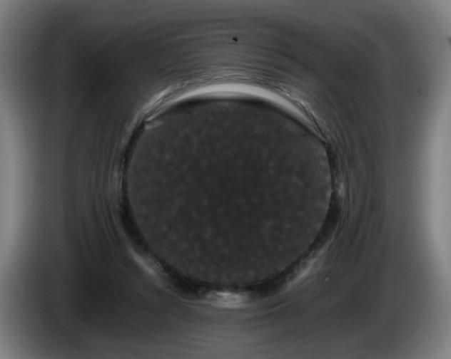 X0000086090352200703301156