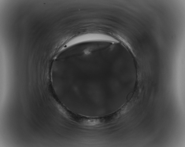 X0000086090353200703301156