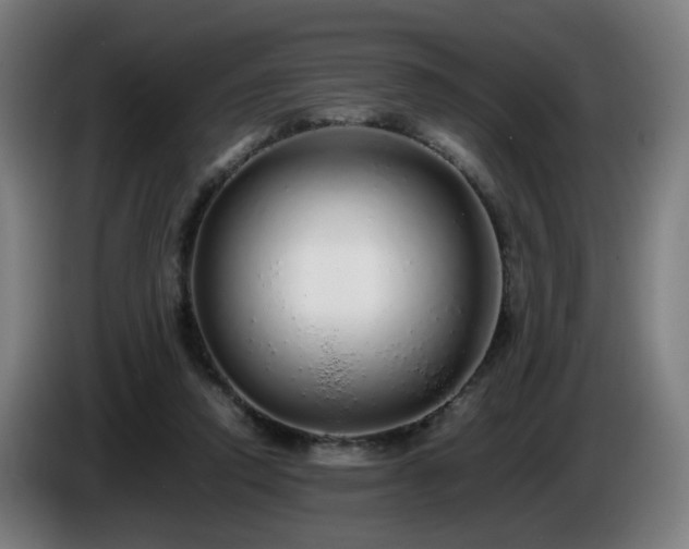 X0000086090354200703301156