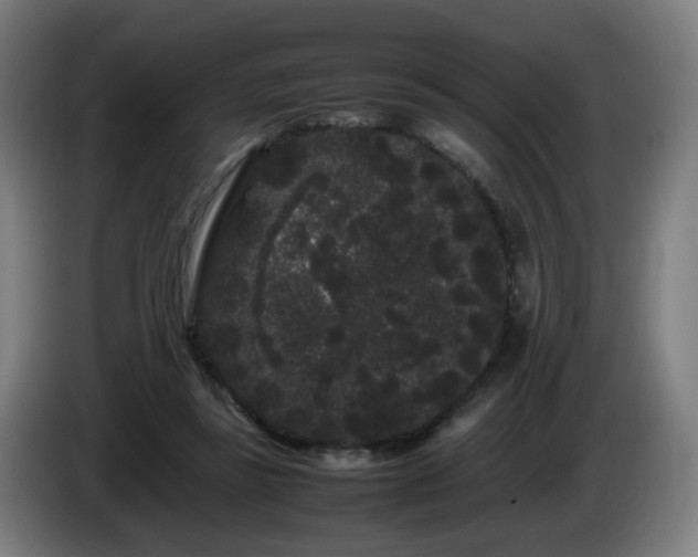 X0000086090355200703301156