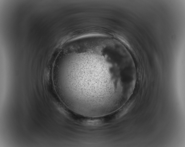 X0000086090357200703301156