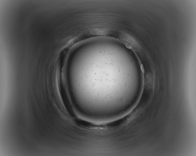 X0000086090358200703301156