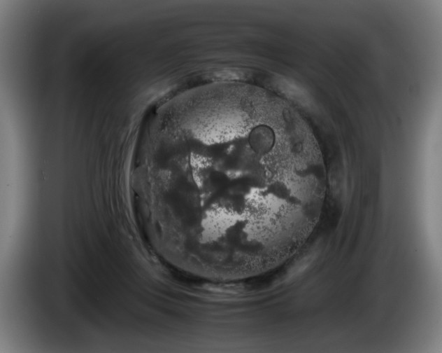 X0000086090359200703301156