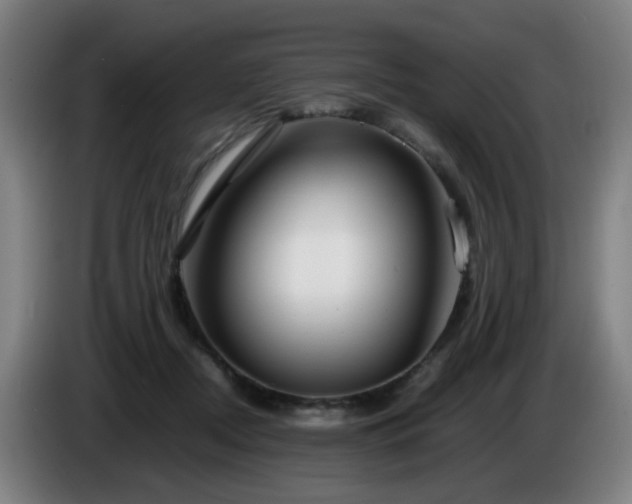 X0000086090362200703301156