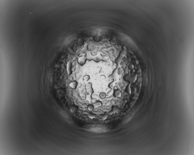 X0000086090363200703301156