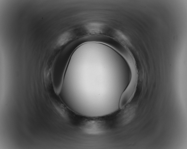 X0000086090364200703301156