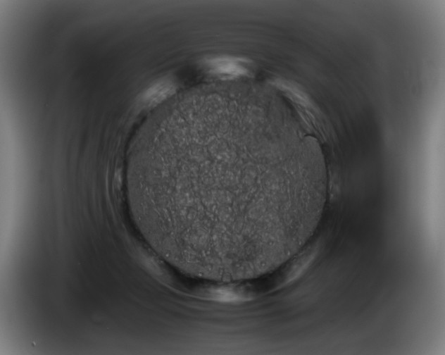 X0000086090365200703301156