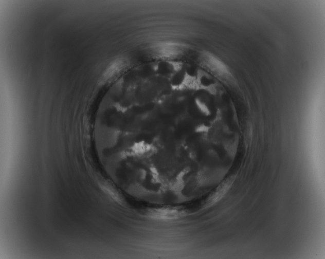 X0000086090366200703301156