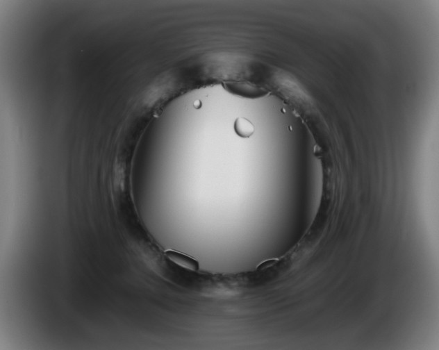 X0000086090368200703301156