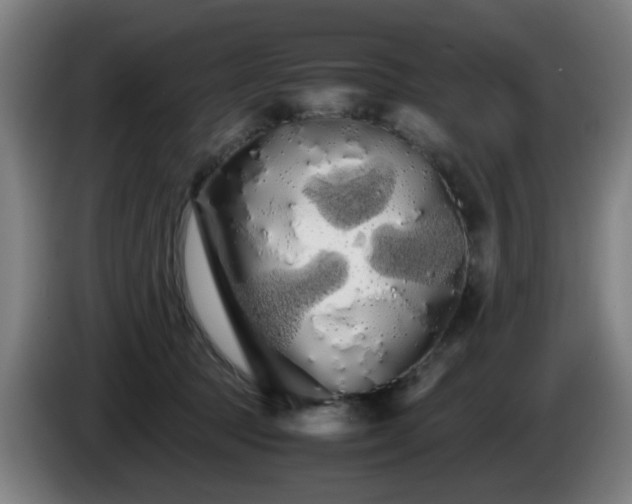 X0000086090369200703301156