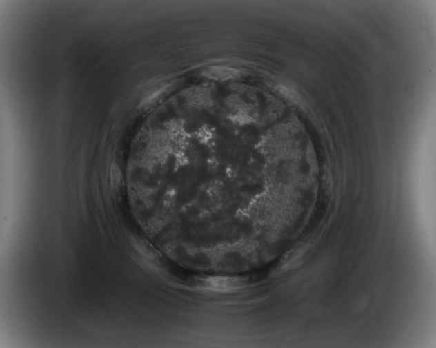 X0000086090371200703301156