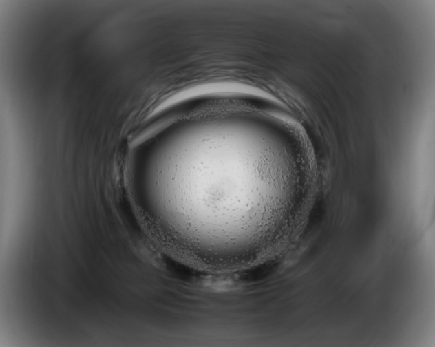 X0000086090373200703301156