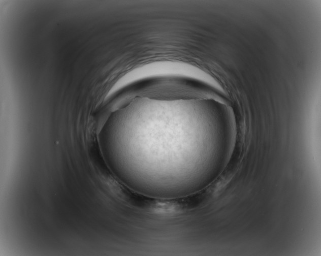 X0000086090376200703301156