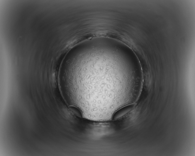 X0000086090378200703301156