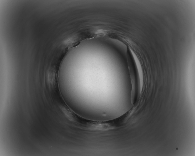 X0000086090379200703301156