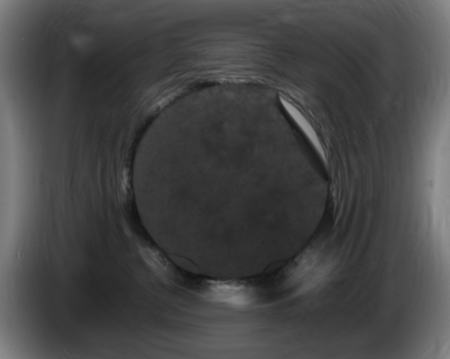 X0000086090380200703301156