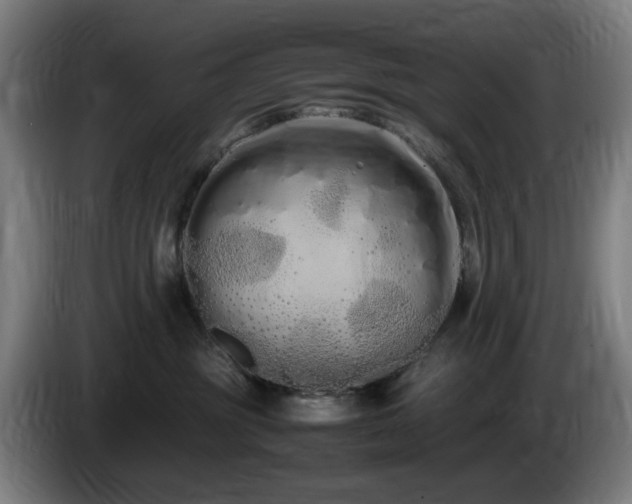 X0000086090381200703301156