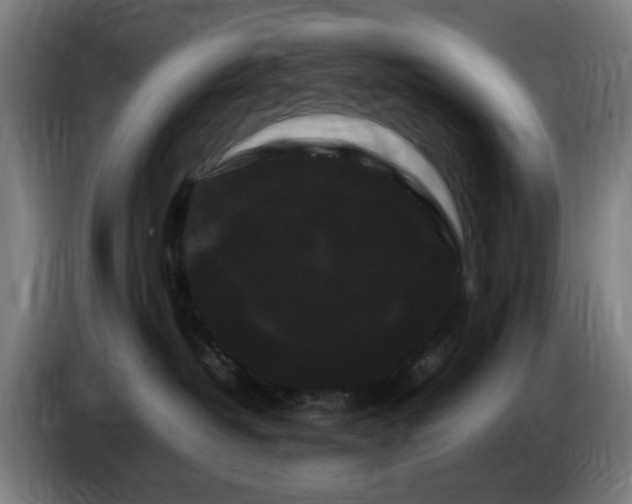 X0000086090382200703301156