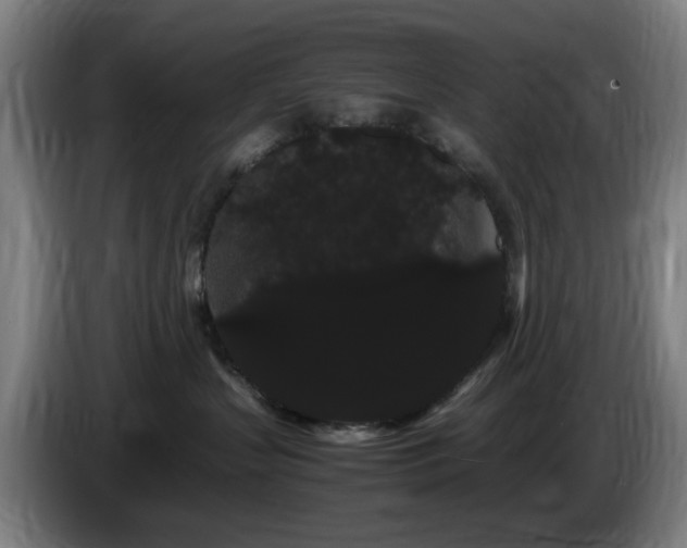 X0000086090383200703301156