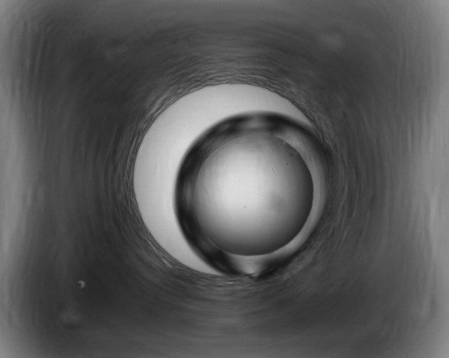 X0000086090384200703301156