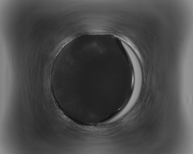 X0000086090385200703301155